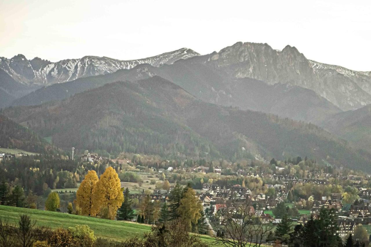 Willa Grg Zakopane Exteriör bild