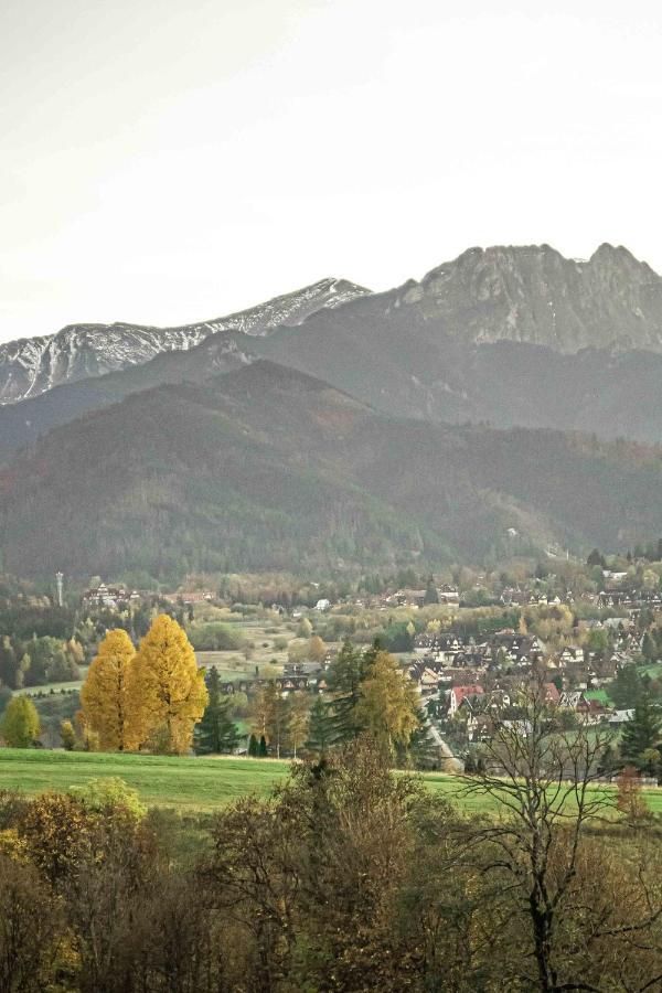 Willa Grg Zakopane Exteriör bild
